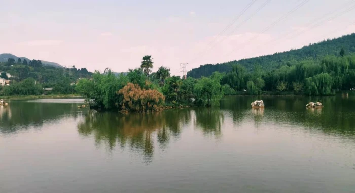 图片3