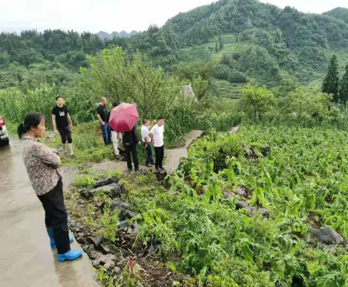 图片12