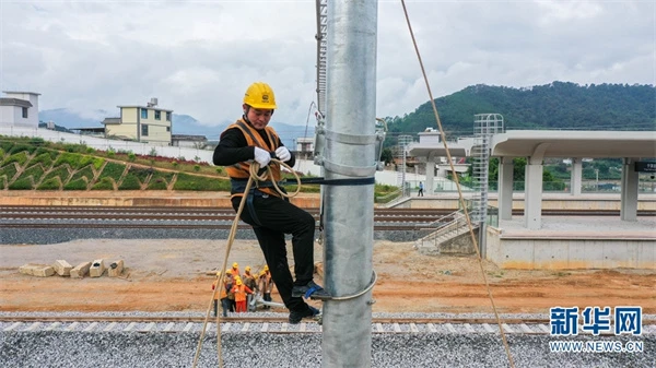 1310302986_16365462957241n