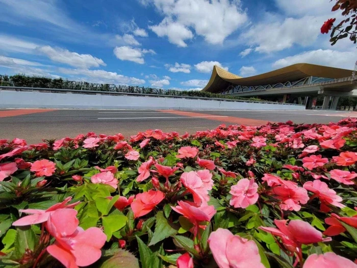 1268104_2048x2048 1268104_2048x2048