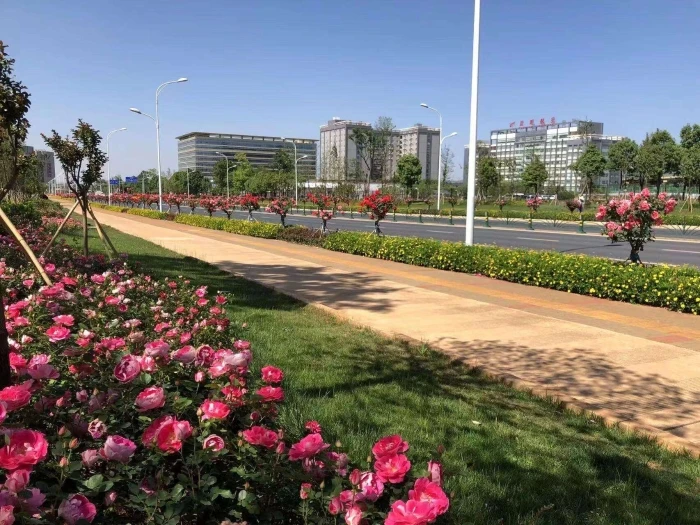 1268105_2048x2048 1268105_2048x2048